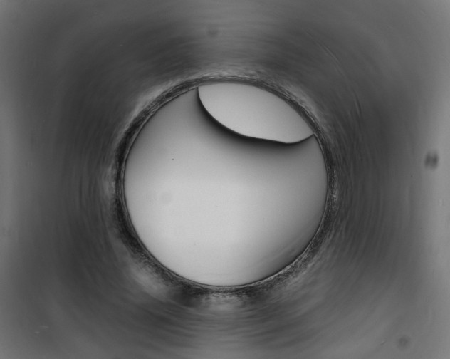 X0000101480636200807071244