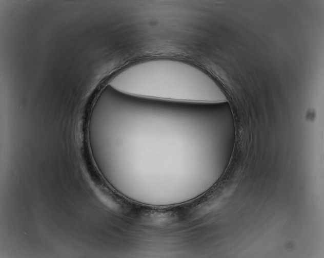 X0000101480638200807071244