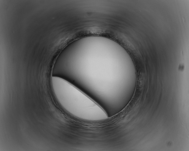 X0000101480639200807071244