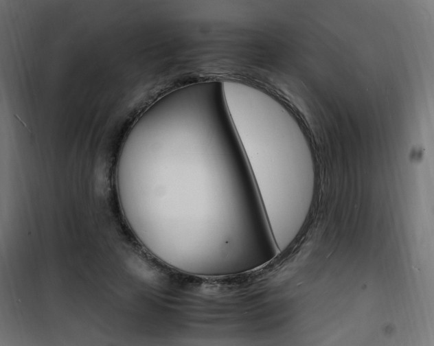X0000101480641200807071244