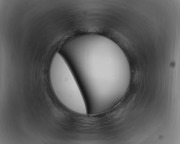 X0000101480643200807071244