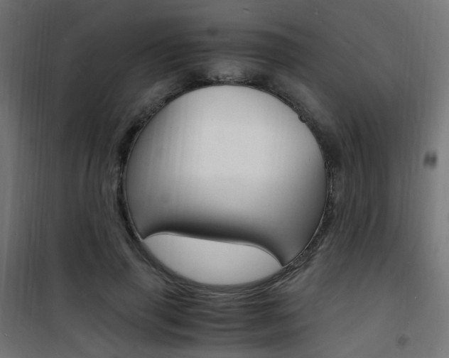 X0000101480645200807071244