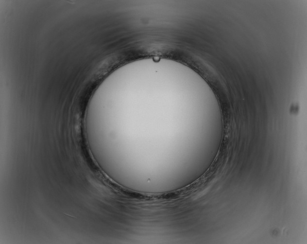 X0000101480646200807071244