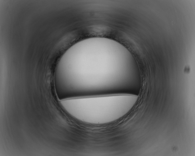 X0000101480647200807071244