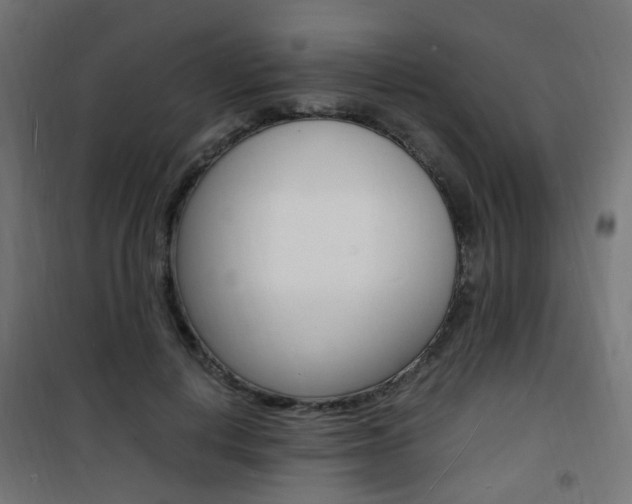 X0000101480648200807071244