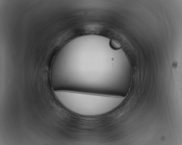 X0000101480649200807071244
