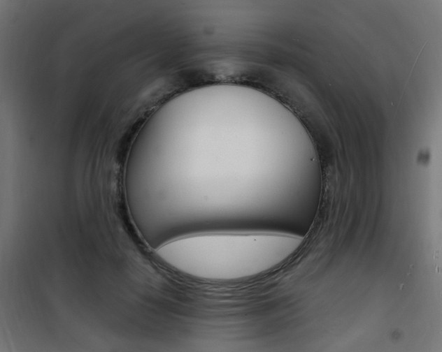 X0000101480650200807071244
