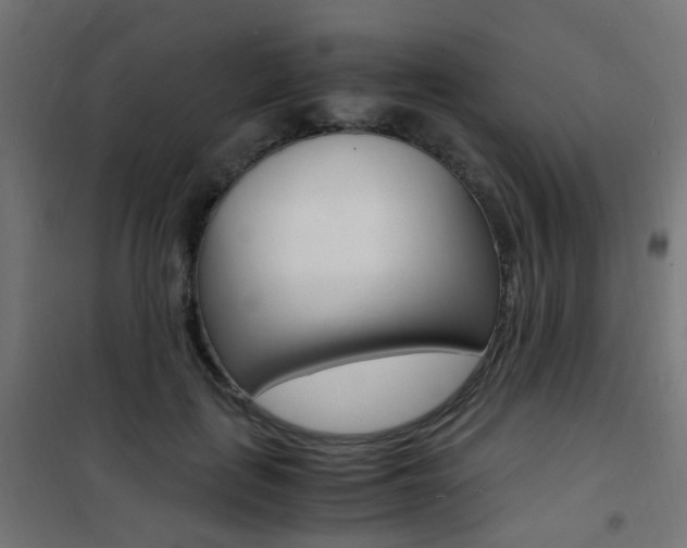 X0000101480651200807071244