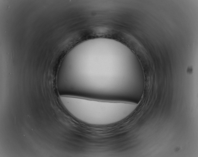 X0000101480653200807071244