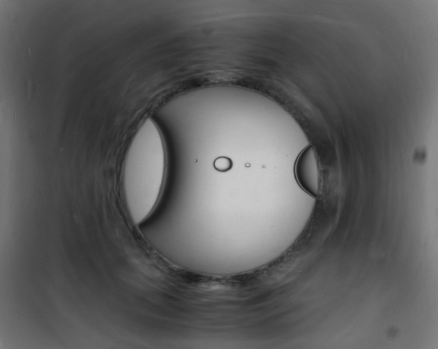 X0000101480655200807071244