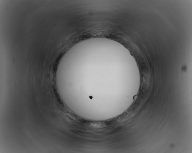 X0000101480659200807071244