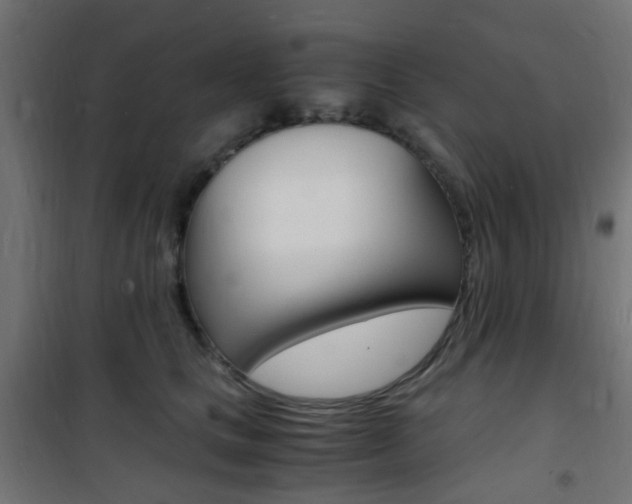 X0000101480661200807071244