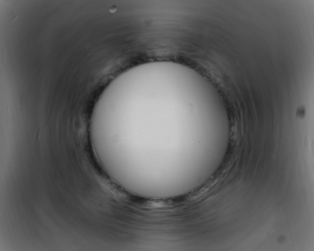 X0000101480662200807071244