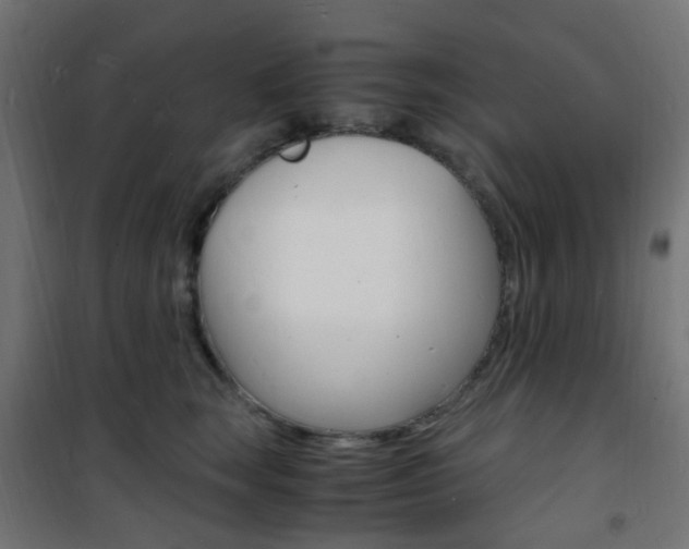 X0000101480663200807071244
