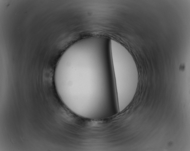 X0000101480664200807071244