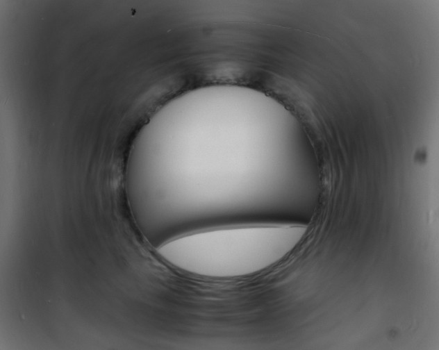 X0000101480665200807071244