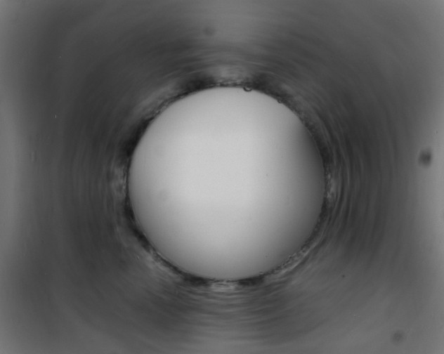 X0000101480666200807071244
