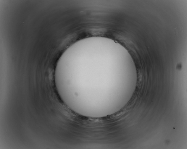 X0000101480667200807071244