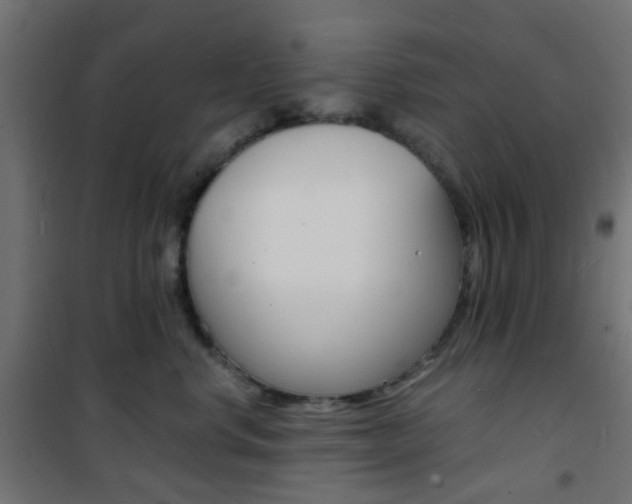 X0000101480668200807071244