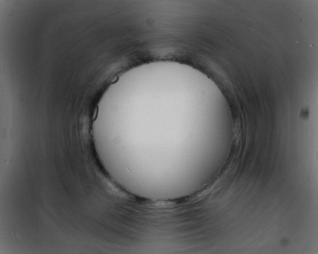 X0000101480670200807071244