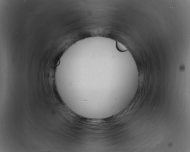 X0000101480671200807071244