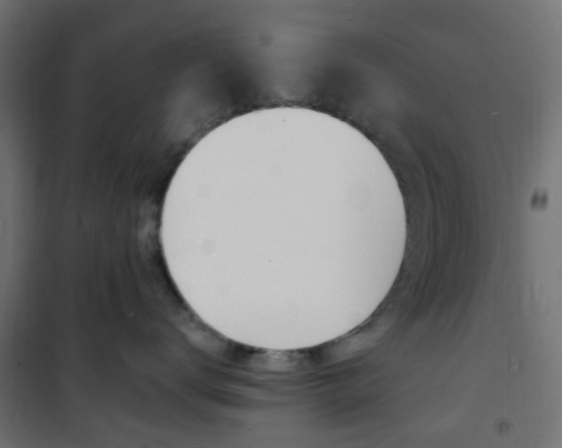 X0000101480672200807071244