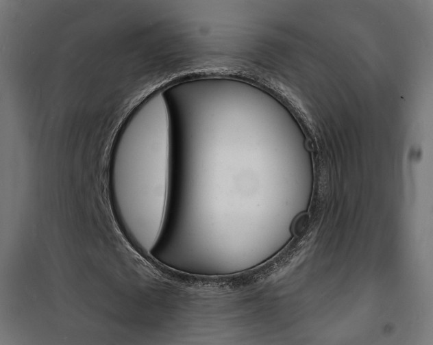 X0000101480673200807071244