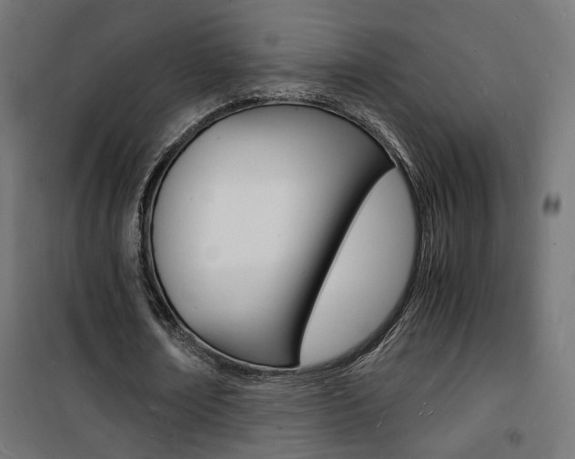 X0000101480674200807071244