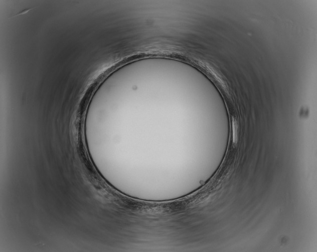 X0000101480675200807071244