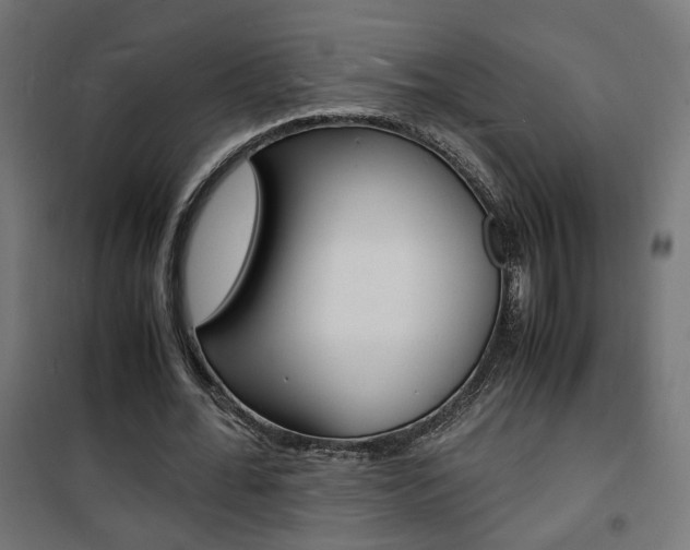 X0000101480676200807071244