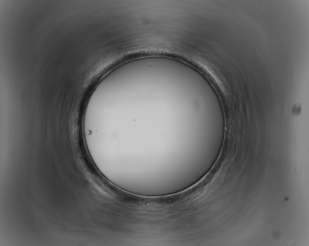 X0000101480677200807071244