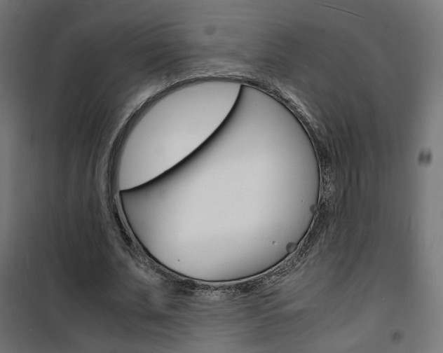 X0000101480679200807071244