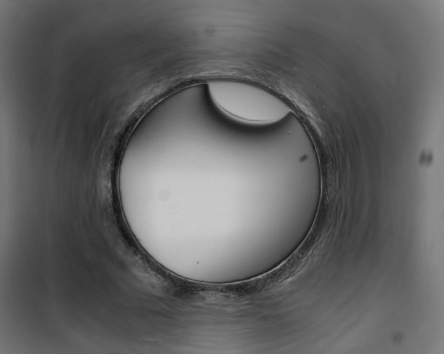 X0000101480681200807071243