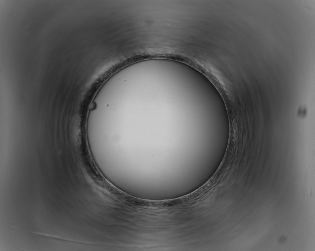 X0000101480684200807071243