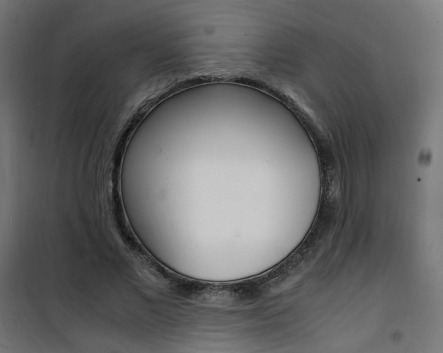 X0000101480685200807071243