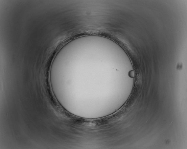 X0000101480687200807071243