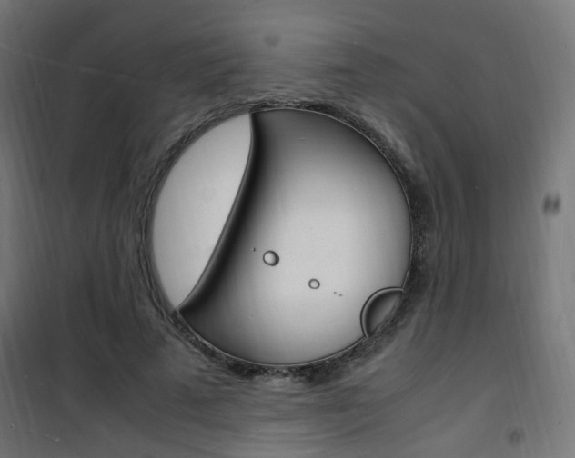 X0000101480689200807071243