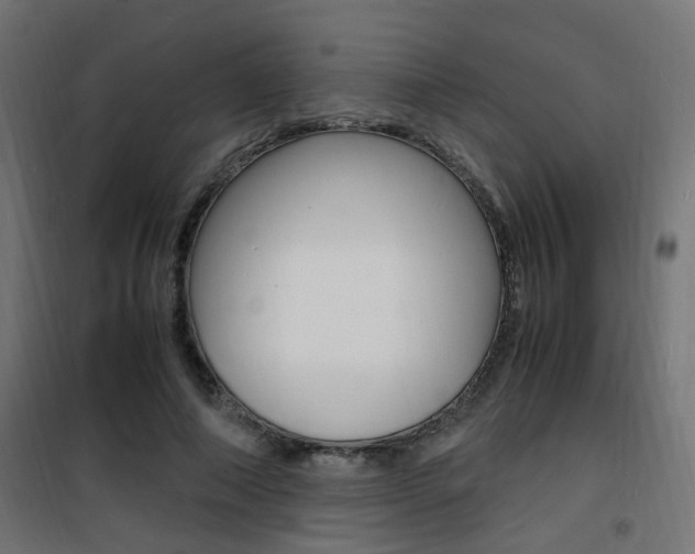 X0000101480690200807071243