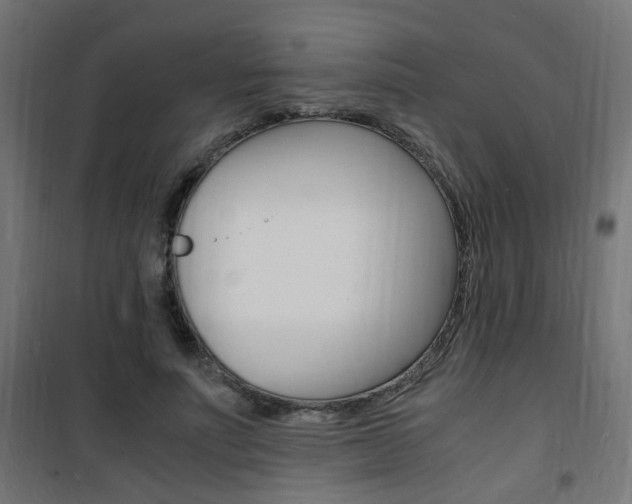 X0000101480691200807071243