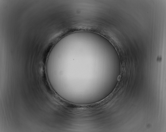 X0000101480692200807071243