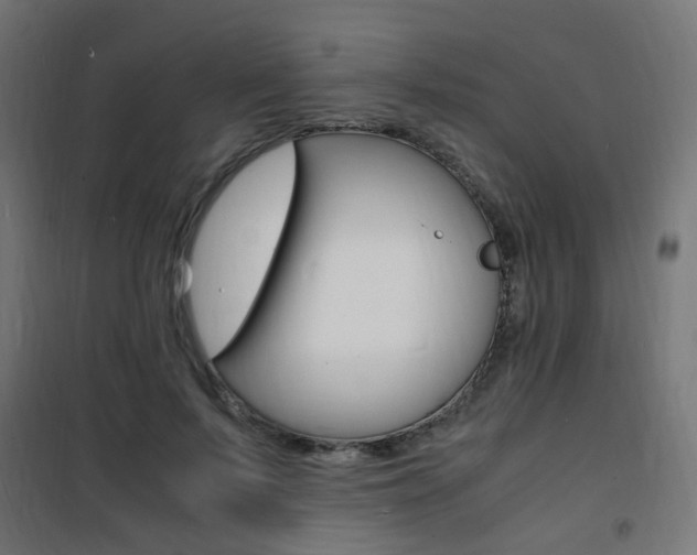 X0000101480695200807071243
