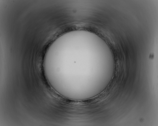 X0000101480698200807071243