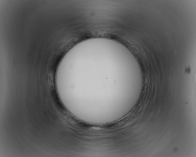X0000101480699200807071243