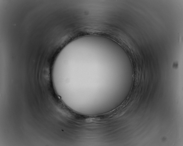 X0000101480700200807071243