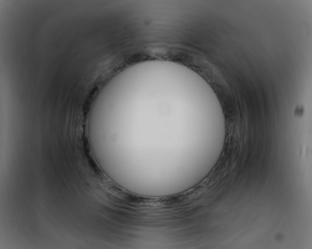 X0000101480702200807071243