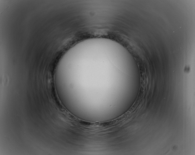 X0000101480704200807071243