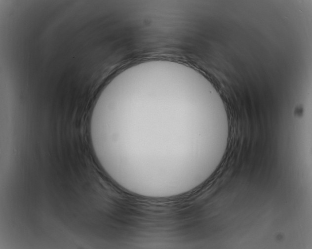 X0000101480708200807071243