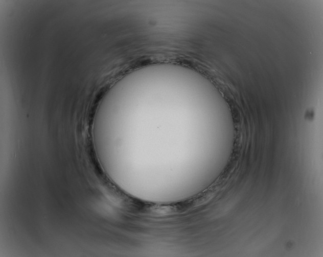 X0000101480711200807071243