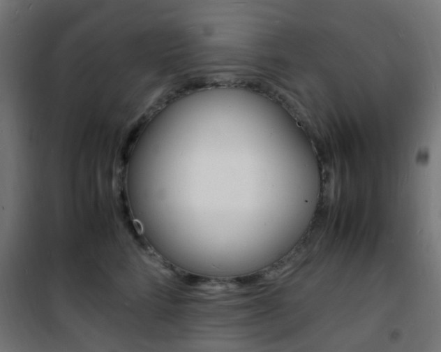 X0000101480712200807071243