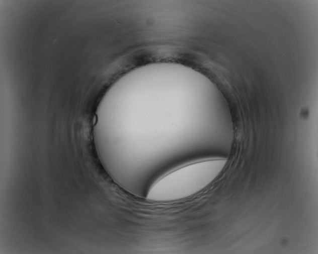 X0000101480715200807071243